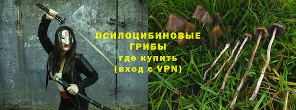 гидропоника Богородицк