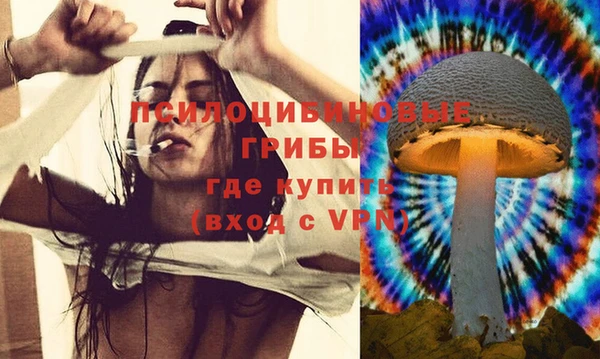 гидропоника Богородицк